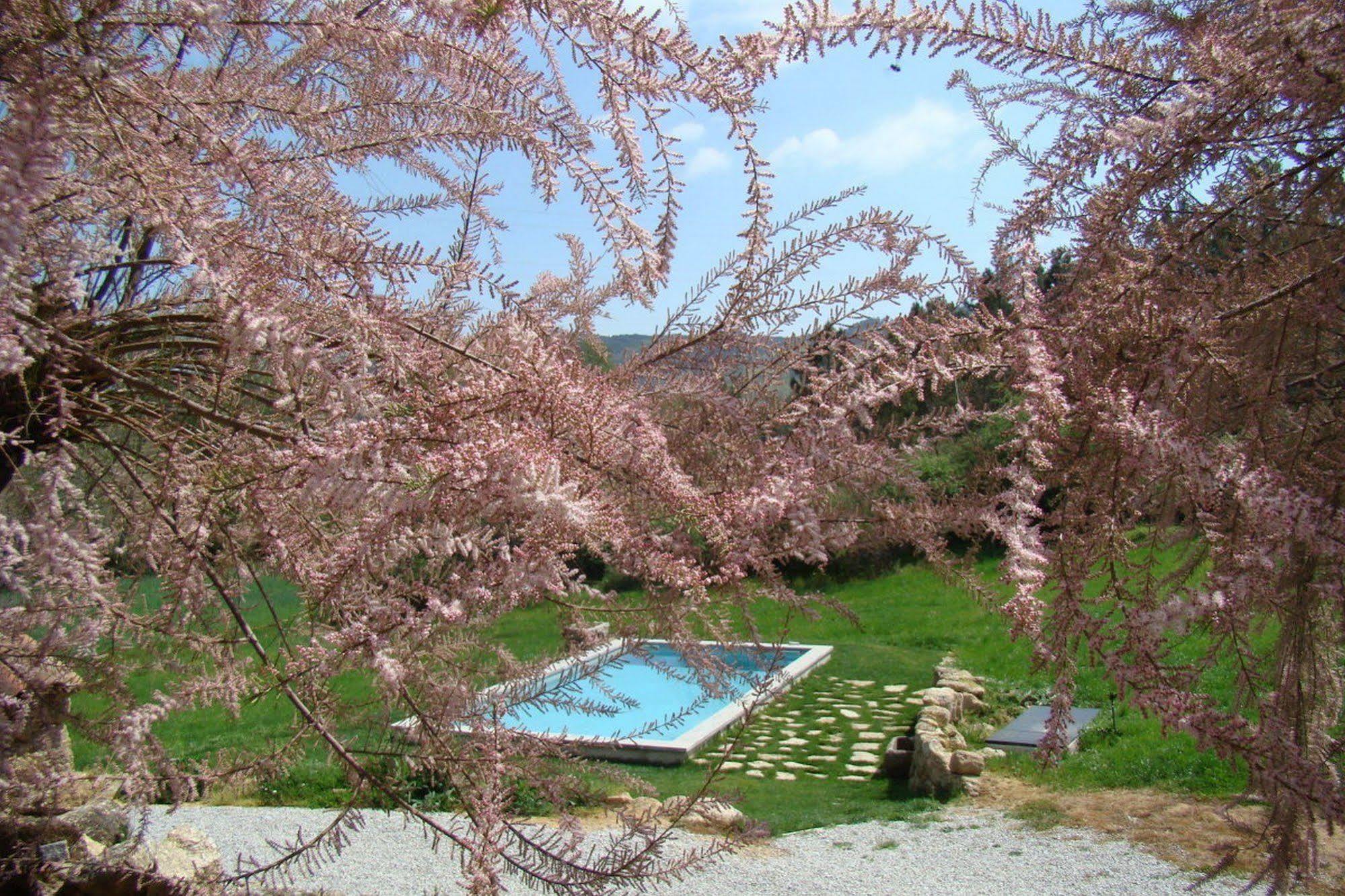 Hostal Quinta de Seves Covilhã Exterior foto